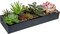 Artificial Assorted Succulent Arrangement in Rectangular Black Wood Planter Box, Fake Plant Decor
